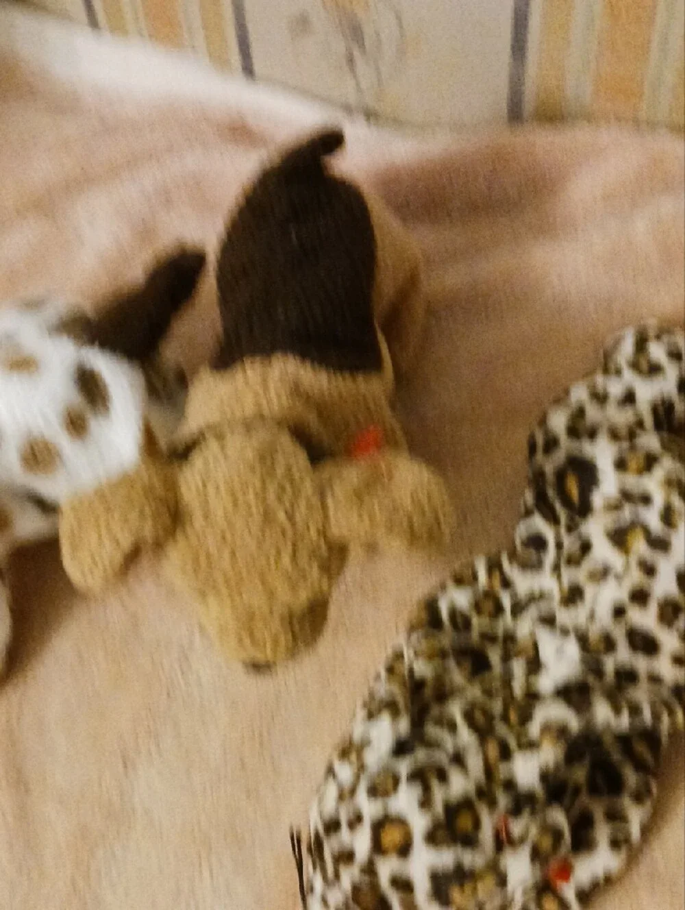 Ty Plush Dog Trio - Brown, White with Brown Spots, Leopard Print